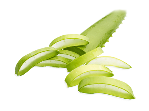 Collagen complex är ett modernt kosttillskott med hydrolyserat marint kollagen, ceramider, melonkoncentrat, biotin och vitamin C.